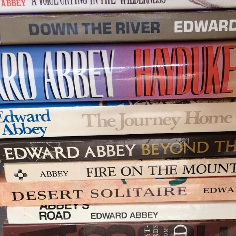 In this image we can see there are some books.