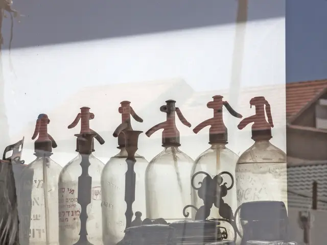 Vacation retreat of Fallenegger: Savor Salzburg's core beauty sans tourist throngs