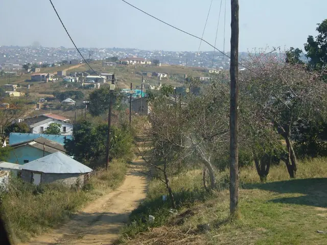 Harnessing Nature's Elements in Permaculture Design: Utilizing Natural Powers